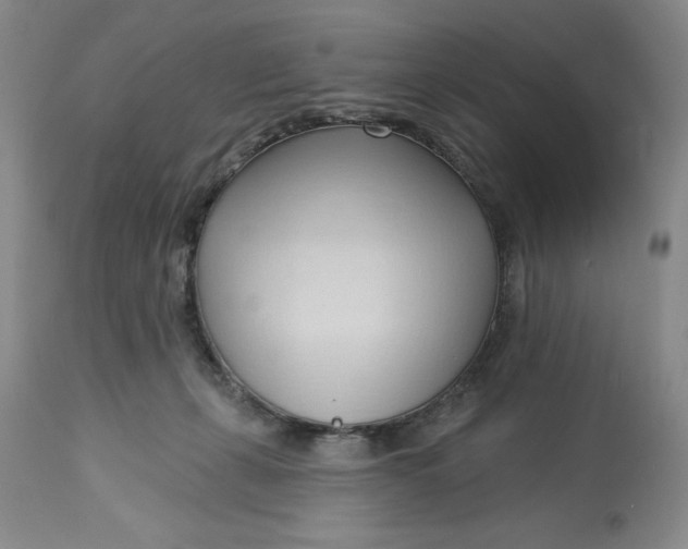 X0000113130271200909251247