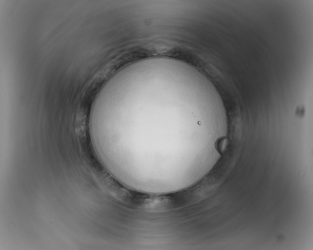 X0000113130274200909251247