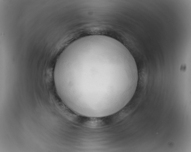 X0000113130278200909251247