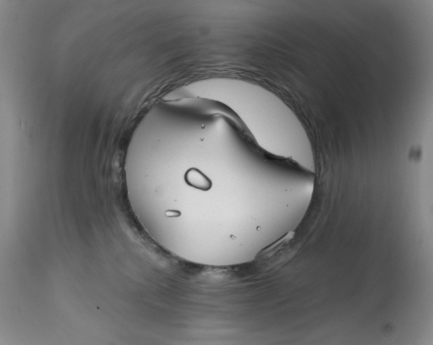 X0000113130280200909251247