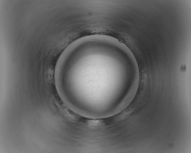 X0000113130281200909251247