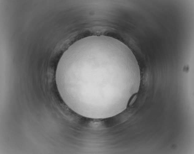 X0000113130283200909251247