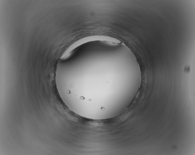 X0000113130284200909251247