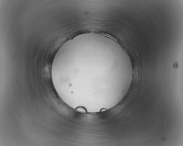 X0000113130286200909251247