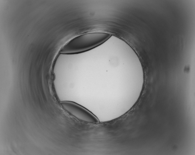 X0000113130289200909251246