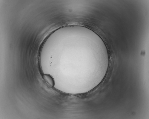 X0000113130290200909251246