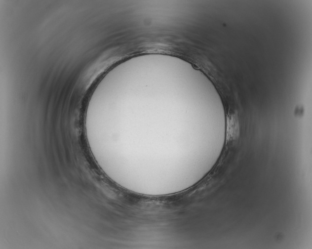 X0000113130291200909251246