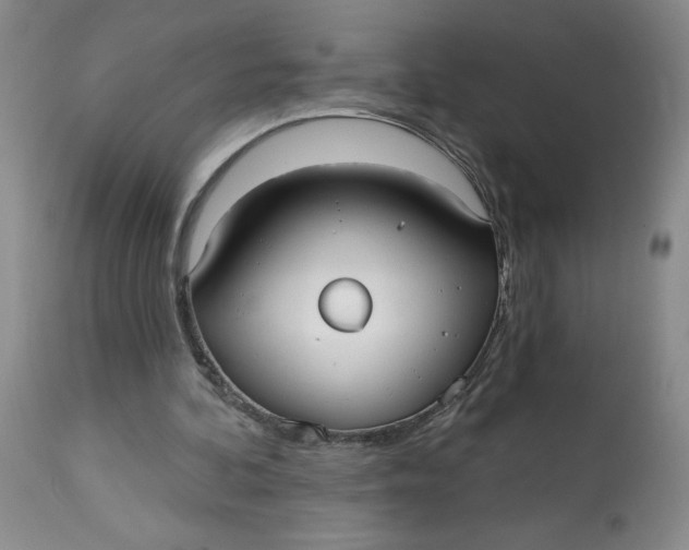 X0000113130292200909251246