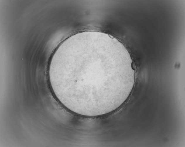 X0000113130293200909251246