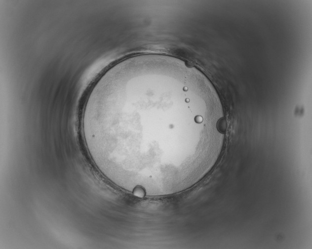 X0000113130294200909251246