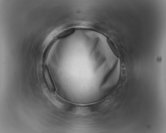 X0000113130296200909251246