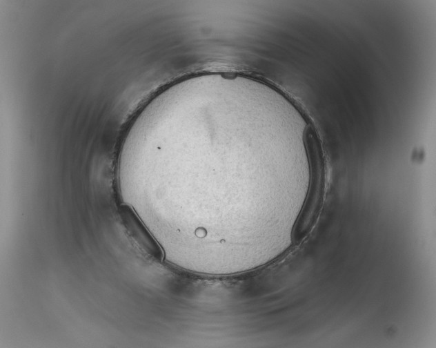 X0000113130297200909251246