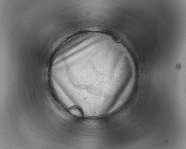 X0000113130299200909251246