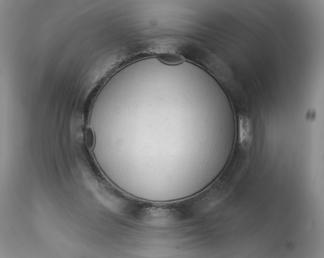 X0000113130300200909251246