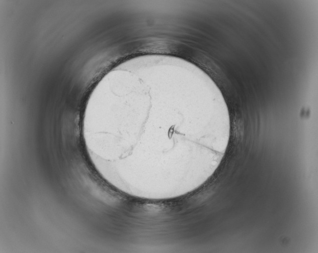 X0000113130302200909251246