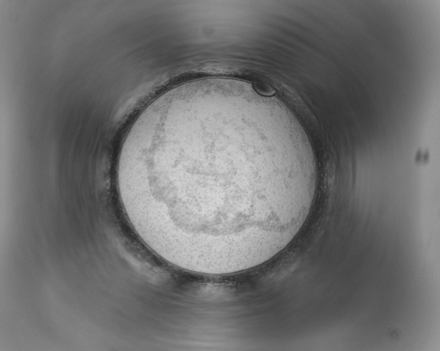 X0000113130303200909251246