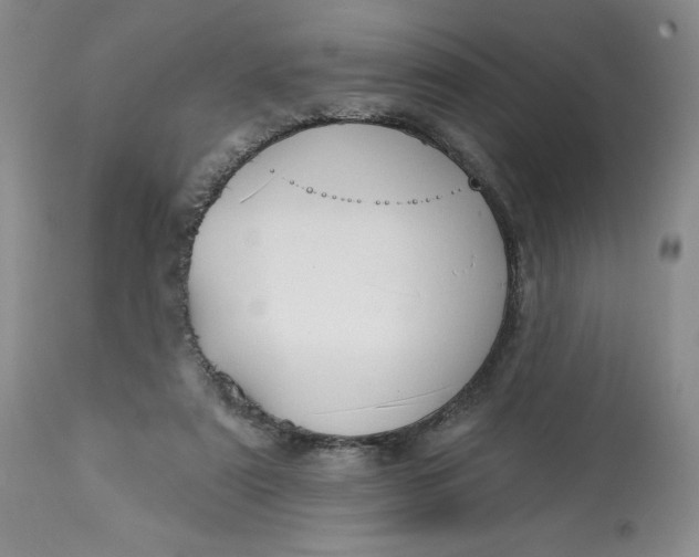 X0000113130307200909251246