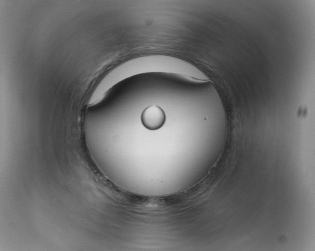 X0000113130308200909251246