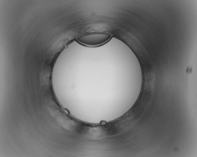 X0000113130309200909251246