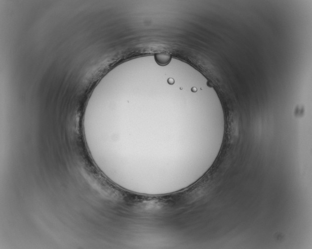 X0000113130310200909251246