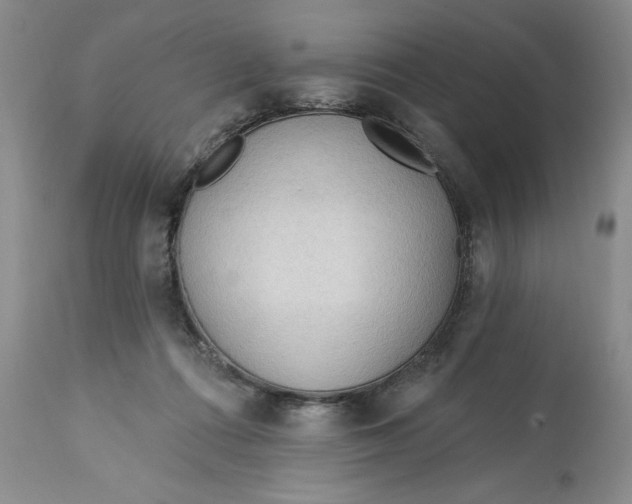 X0000113130312200909251246