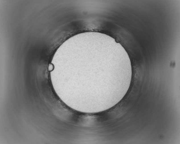 X0000113130313200909251246