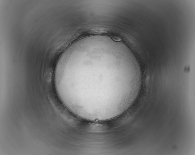 X0000113130315200909251246