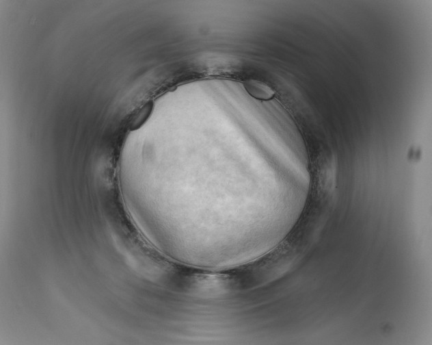 X0000113130316200909251246