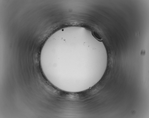 X0000113130317200909251246