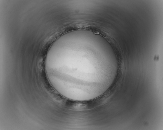 X0000113130319200909251246