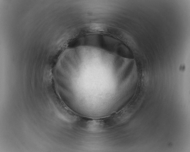 X0000113130320200909251246