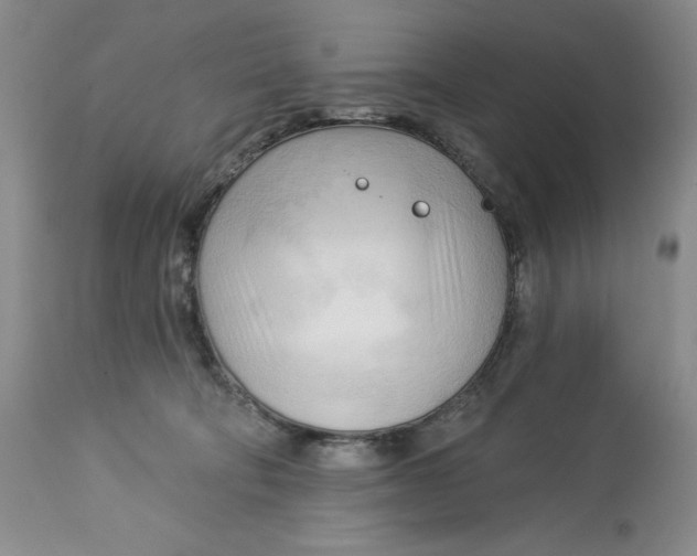 X0000113130322200909251246