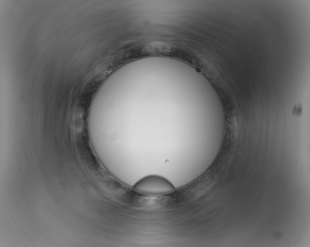 X0000113130323200909251246