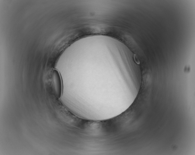 X0000113130325200909251246