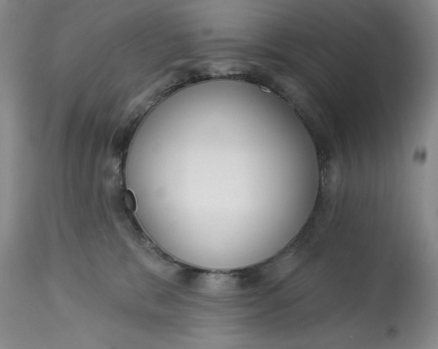 X0000113130327200909251246