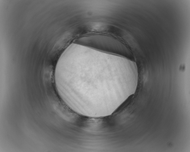 X0000113130328200909251246