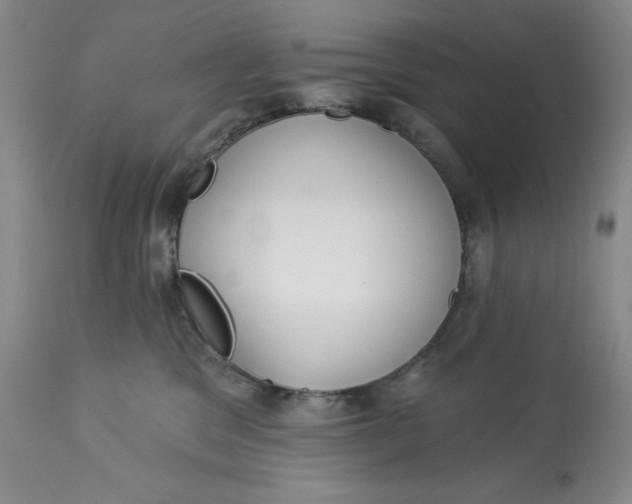 X0000113130329200909251246