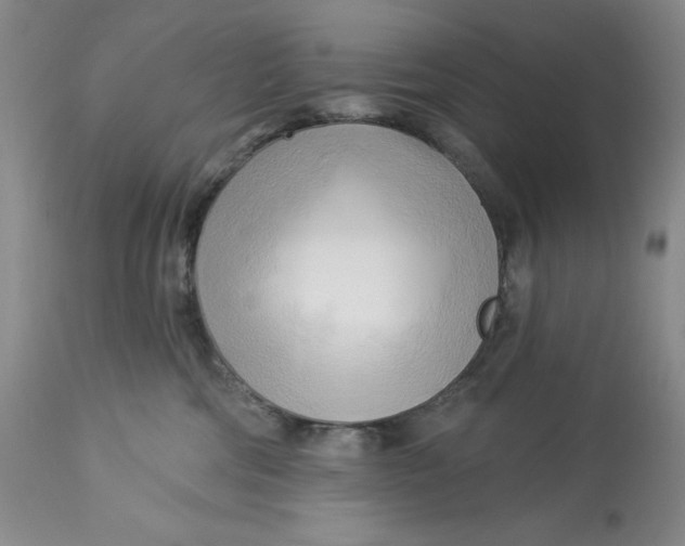 X0000113130330200909251246