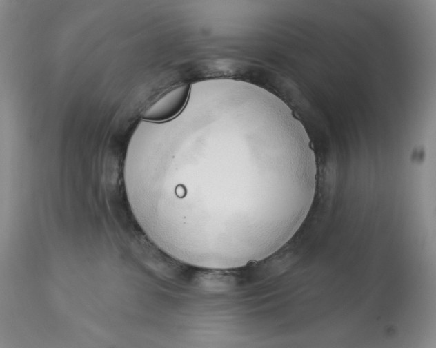 X0000113130331200909251246