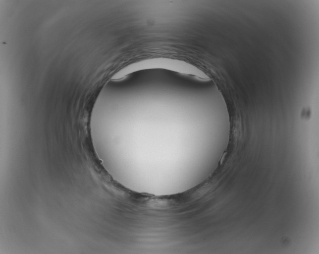 X0000113130332200909251246