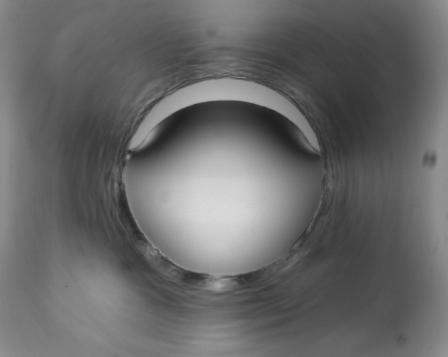 X0000113130333200909251246