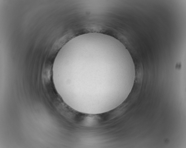 X0000113130334200909251246