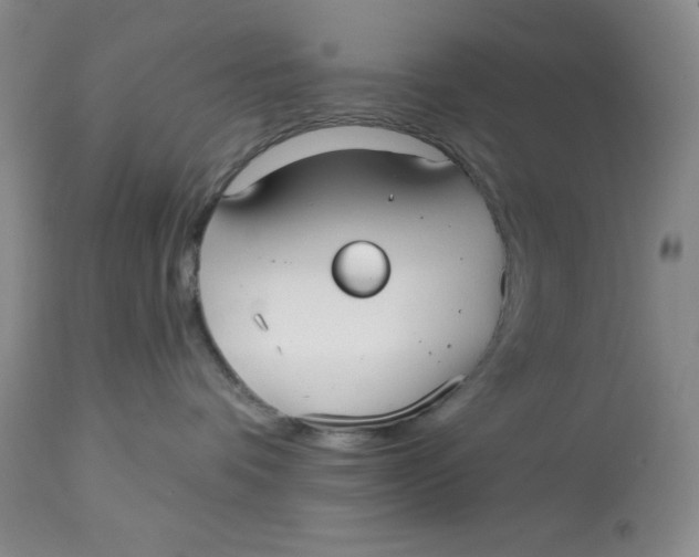 X0000113130336200909251246