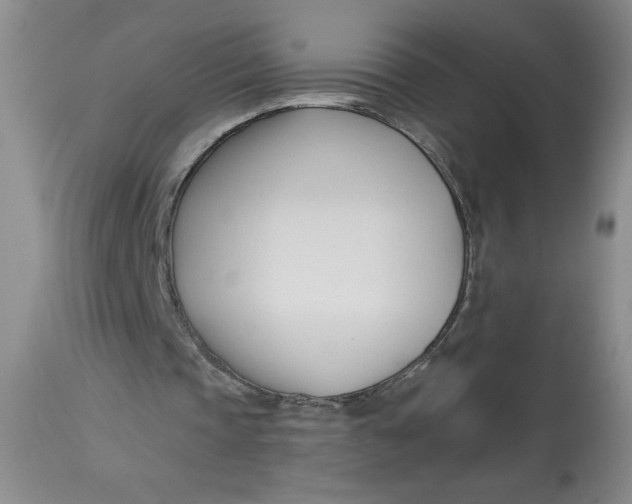 X0000113130337200909251245