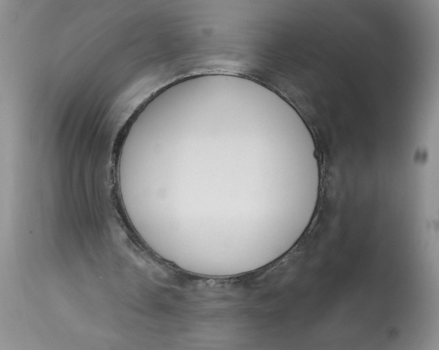 X0000113130338200909251245