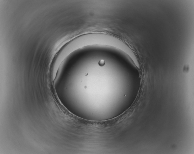 X0000113130340200909251245