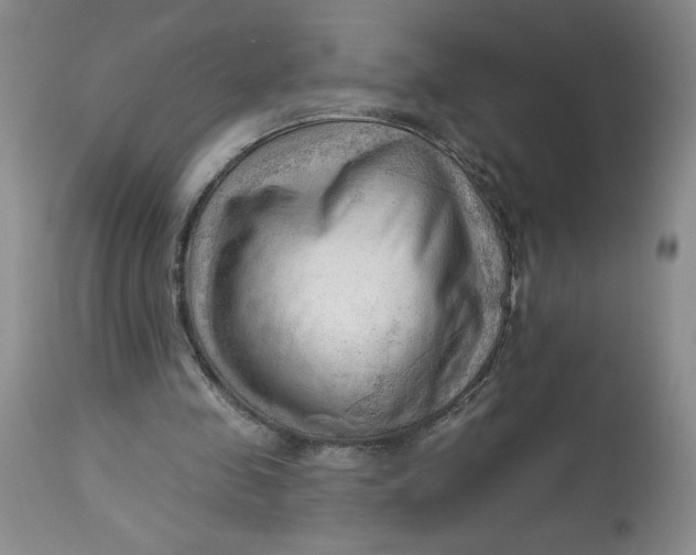 X0000113130341200909251245