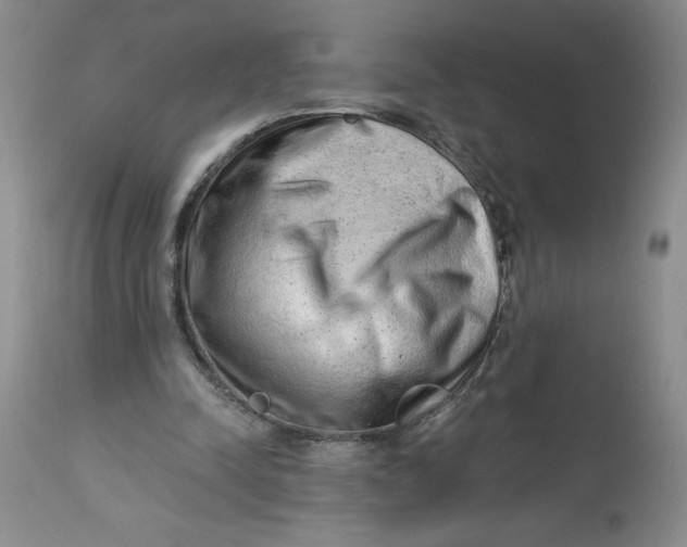 X0000113130342200909251245