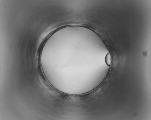 X0000113130343200909251245