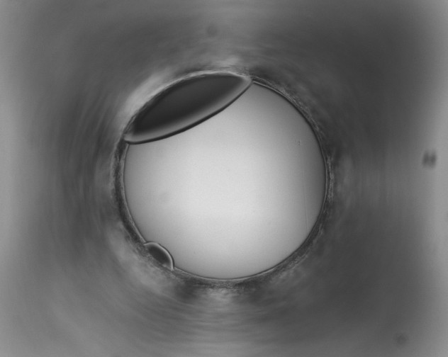 X0000113130344200909251245